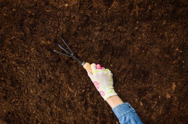 Bahçede, bir bitki dikimi çalışan. Toprak Üstten Görünüm.