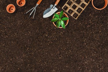 Toprak zeminde bahçe aletleri. Bahçede çalışıyorum.