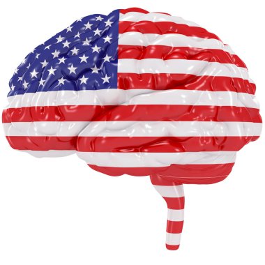 3D insan beyni Amerika Birleşik Devletleri bayrağıdır.