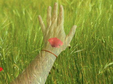 Double exposure of one woman hand touching a field in springtime clipart