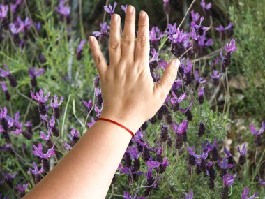İlkbaharda bir alanı dokunmadan bir kadın el çift pozlama
