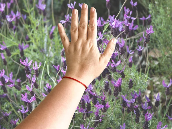 Doble Exposición Una Mano Mujer Tocando Campo Primavera — Foto de Stock