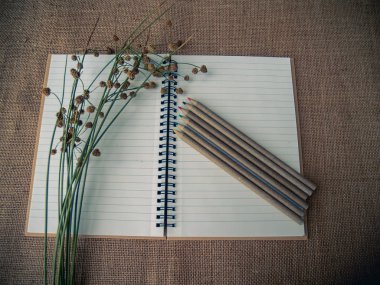 Vintage tarzı. Açık defter, Kuru ot, kalemler ve çuval bezi arka plan ile organize masası