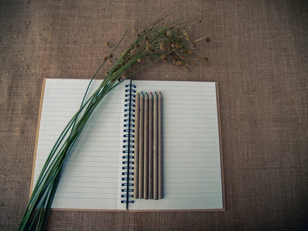 Vintage style. Organized desk with open notebook, dry grass, pencils and burlap background