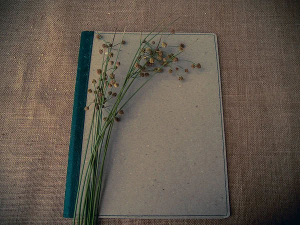 Vintage style. Organized desk with binder, dry grass and burlap background