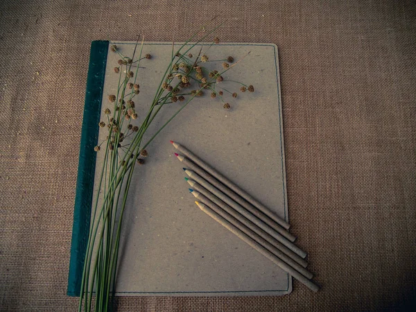 Vintage style. Organized desk with binder, dry grass, pencils and burlap background