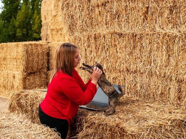 An entrepreneur young woman working outdoor on a farm with a laptop over a hay bale