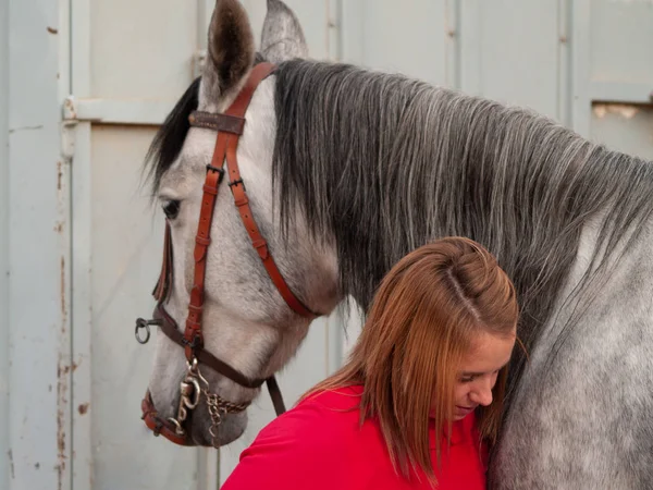 金髪の若い女性の農場で馬をなでる — ストック写真