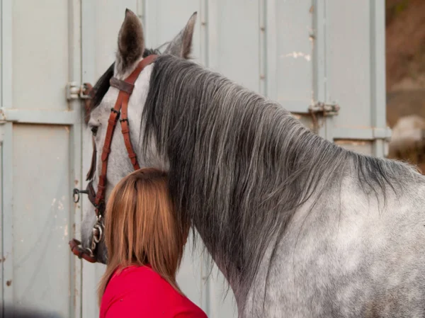 金髪の若い女性の農場で馬をなでる — ストック写真