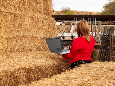 An entrepreneur young woman working outdoor on a farm with a laptop over a hay bale clipart