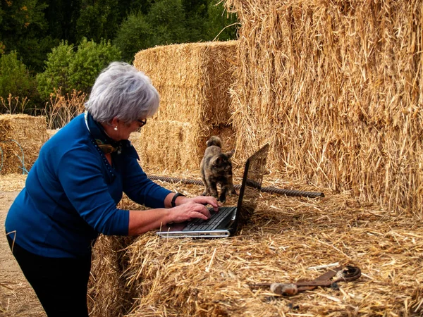 An entrepreneur senior woman working outdoor on a farm with a laptop over a hay bale