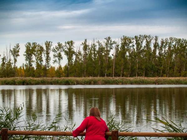 Una Joven Mirador Con Una Barandilla Madera Contemplando Río Otoño —  Fotos de Stock