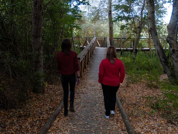 Two women walking on a wooden path in a forest in autumn