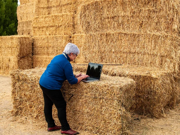 An entrepreneur senior woman working outdoor on a farm with a laptop over a hay bale