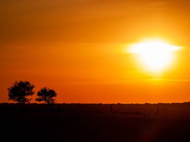 Kaç bulutlar ve dehesa ve ağaç siluet chemtrails batımında romantik turuncu gökyüzü