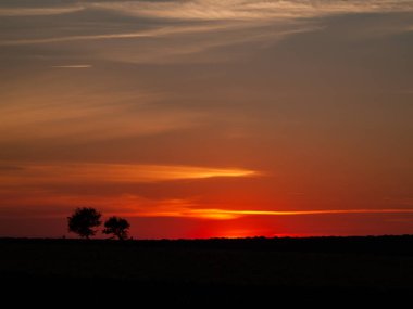Kaç bulutlar ve dehesa ve ağaç siluet chemtrails batımında romantik turuncu gökyüzü