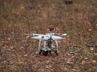 Bir dron sonbahar bir ormanda yere