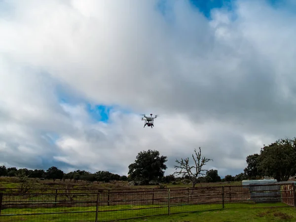 Drone Movimento Voando Floresta Céu Nublado Árvores Perto — Fotografia de Stock