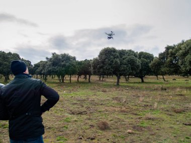 Bir dron pilot pilot ile smartphone ormanın içinde onun elinde uzaktan kumanda ile