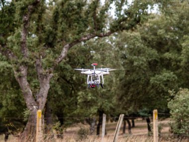 Bir dron bulutlu gökyüzü ve ağaçlar yakınındaki ormanda uçan hareket