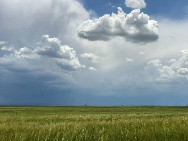 Paysage Naturel Medina Del Campo Valladolid Espagne — Photo