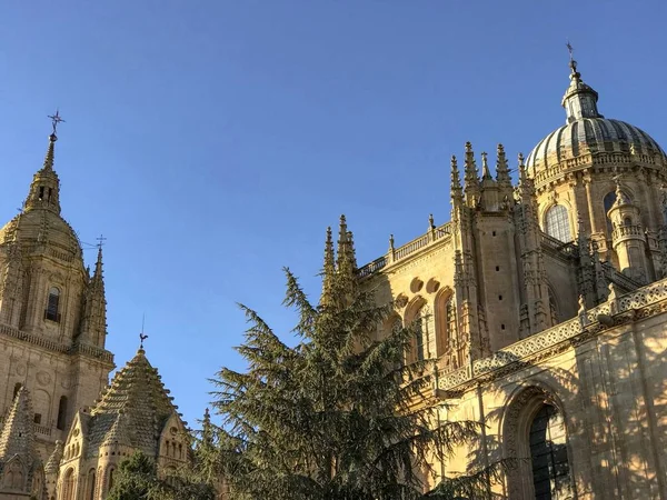 Cattedrale Storica Salamanca Spagna — Foto Stock