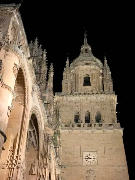 Éjszakai Történelmi Katedrális Salamanca Spanyolország — Stock Fotó