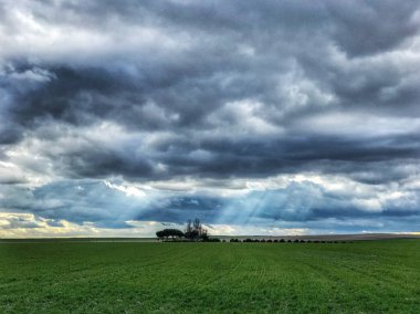 Doğa manzara Salamanca, İspanya