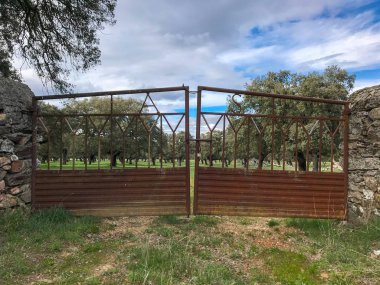 Park Peyzaj Salamanca, İspanya