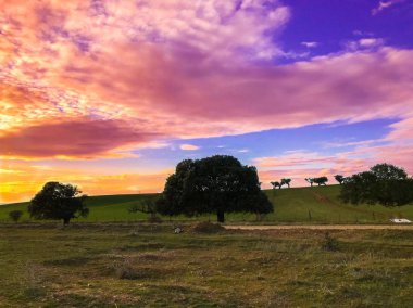 Doğa manzara Salamanca, İspanya