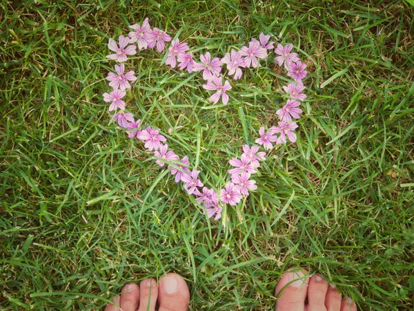 Красиві Яскраві Квіти Вигляді Серця Фоні Трави — стокове фото