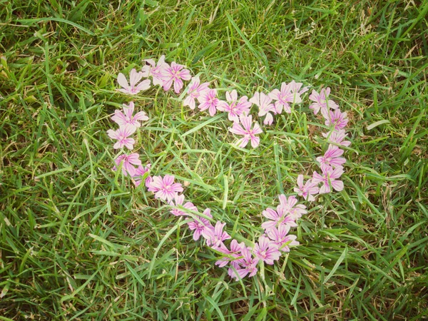 Красиві Яскраві Квіти Вигляді Серця Фоні Трави — стокове фото