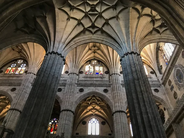 Tarihi Katedral Salamanca Spanya — Stok fotoğraf