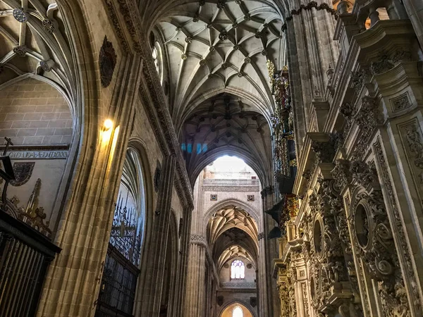 Tarihi Katedral Salamanca Spanya — Stok fotoğraf