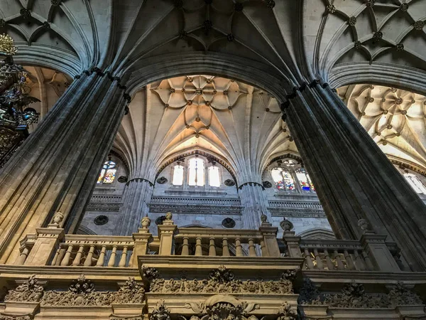 Tarihi Katedral Salamanca Spanya — Stok fotoğraf