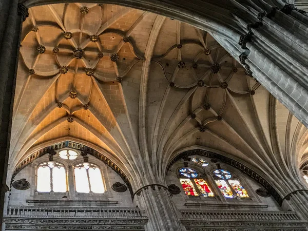 Tarihi Katedral Salamanca Spanya — Stok fotoğraf