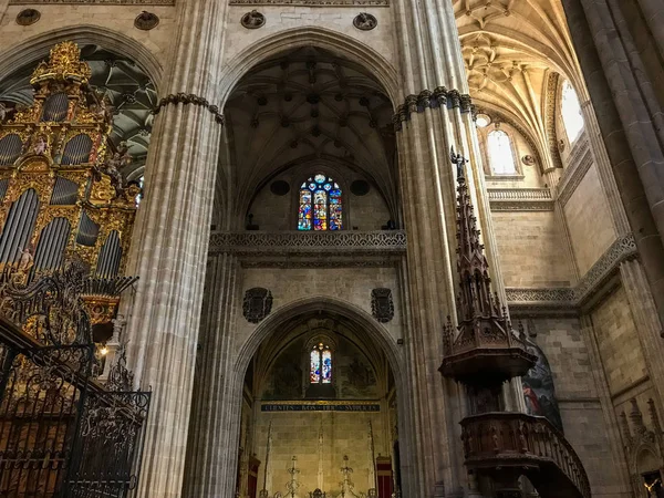 Tarihi Katedral Salamanca Spanya — Stok fotoğraf
