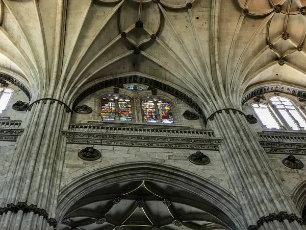 Tarihi Katedral Salamanca Spanya — Stok fotoğraf
