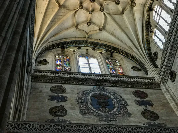 Tarihi Katedral Salamanca Spanya — Stok fotoğraf