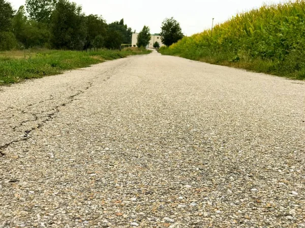 Strasse Und Naturlandschaft Salamanca Spanien — Stockfoto