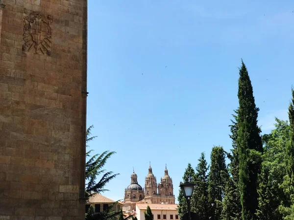 Történelmi Katedrális Salamanca Spanyolország — Stock Fotó