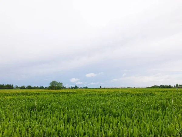 Naturlandschaft Salamanca Spanien — Stockfoto