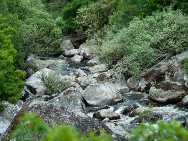 Dağ nehri, San Esteban, İspanya