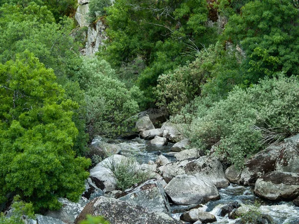 Dağ nehri, San Esteban, İspanya