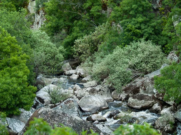 Río Montaña San Esteban España — Foto de Stock