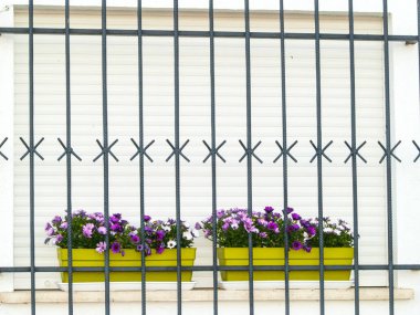 Salamanca, İspanya'da çiçeklerle dekore edilmiş bina