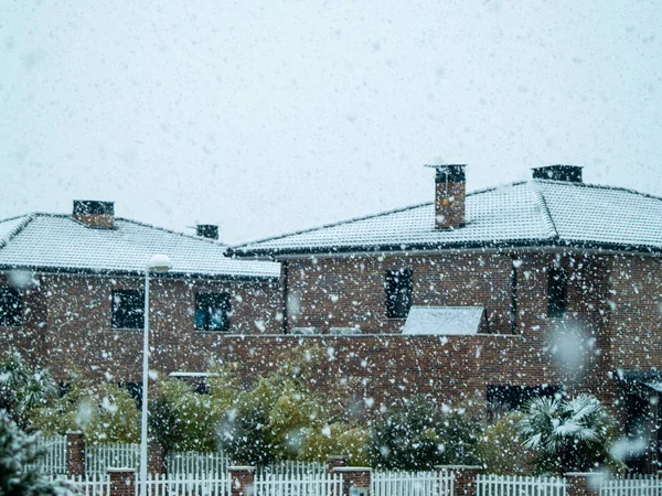 Witte Sneeuw Vallen Winterdag — Stockfoto