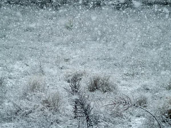 Nieve Blanca Suelo Día Invierno — Foto de Stock