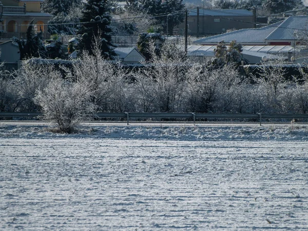Kış Gününde Yerde Beyaz Kar — Stok fotoğraf