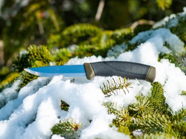 kış gününde karla kaplı köknar ağacının dallarında bıçak 